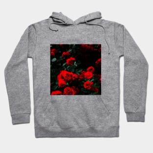 Rose - aesthetic box art Hoodie